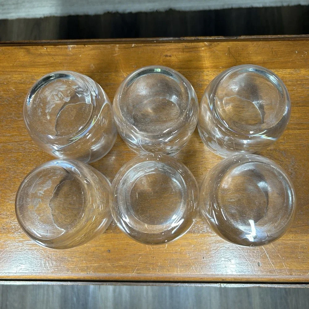 Vtg 6 Princess House Heritage Stemless Rocks Glasses Etched Floral Clear 12 oz